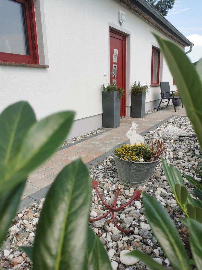 奥斯特西巴德钦诺维茨Haus Ostwind别墅 外观 照片